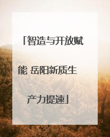 智造与开放赋能 岳阳新质生产力提速