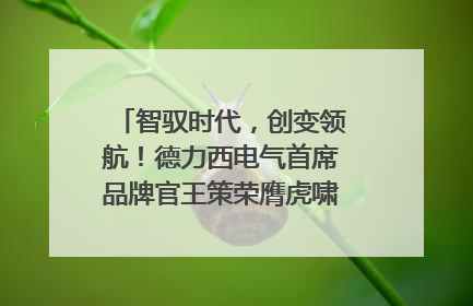 智驭时代，创变领航！德力西电气首席品牌官王策荣膺虎啸奖年度品牌人物