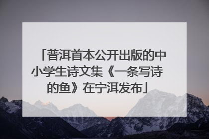 普洱首本公开出版的中小学生诗文集《一条写诗的鱼》在宁洱发布