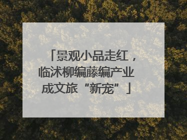景观小品走红，临沭柳编藤编产业成文旅“新宠”