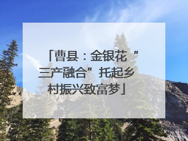 曹县：金银花“三产融合”托起乡村振兴致富梦