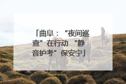 曲阜：“夜间巡查”在行动 “静音护考”保安宁