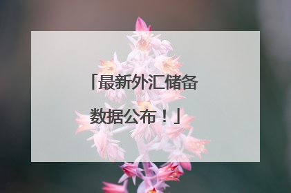 最新外汇储备数据公布！