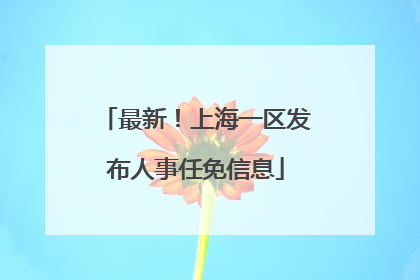 最新！上海一区发布人事任免信息
