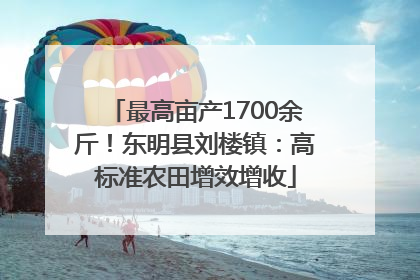 最高亩产1700余斤！东明县刘楼镇：高标准农田增效增收