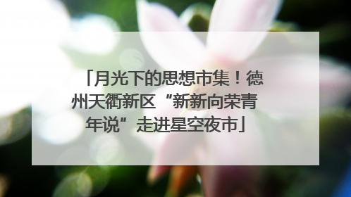 月光下的思想市集！德州天衢新区“新新向荣青年说”走进星空夜市