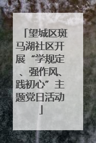 望城区斑马湖社区开展“学规定、强作风、践初心”主题党日活动