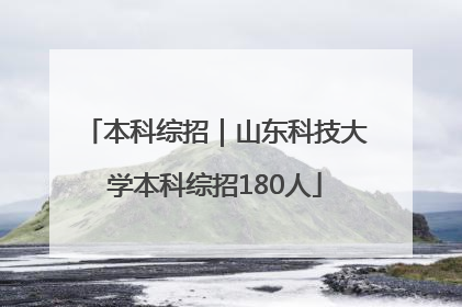 本科综招｜山东科技大学本科综招180人