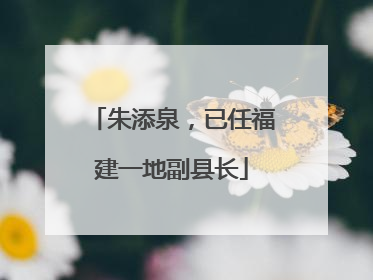 朱添泉，已任福建一地副县长
