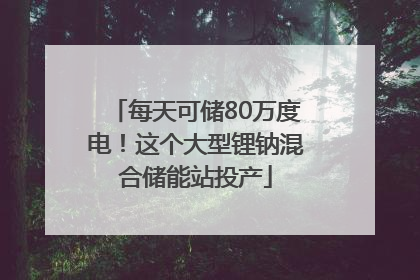 每天可储80万度电！这个大型锂钠混合储能站投产