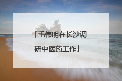 毛伟明在长沙调研中医药工作