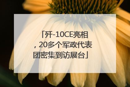 歼-10CE亮相，20多个军政代表团密集到访展台