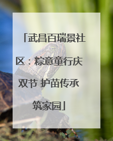 武昌百瑞景社区：粽意童行庆双节 护苗传承筑家园
