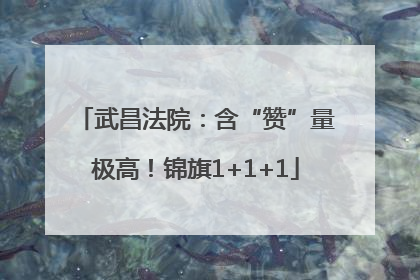 武昌法院：含“赞”量极高！锦旗1+1+1