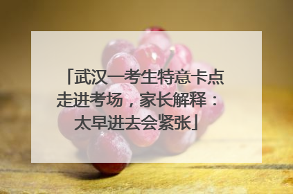 武汉一考生特意卡点走进考场，家长解释：太早进去会紧张