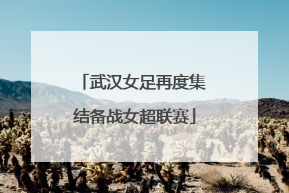 武汉女足再度集结备战女超联赛