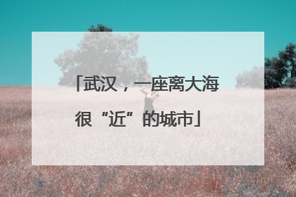 武汉，一座离大海很“近”的城市