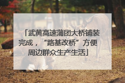 武黄高速蒲团大桥铺装完成，“路基改桥”方便周边群众生产生活