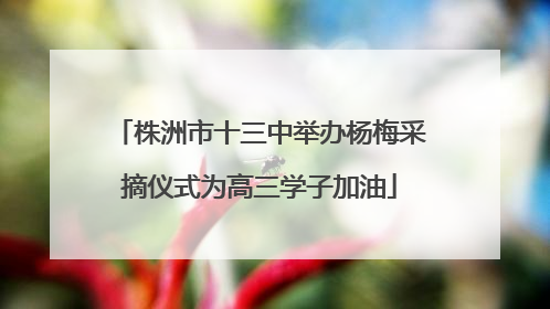 株洲市十三中举办杨梅采摘仪式为高三学子加油