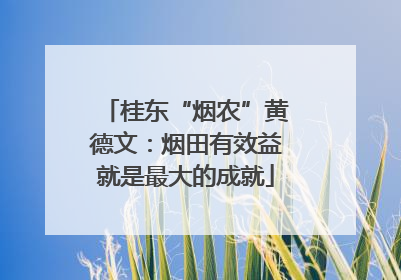 桂东“烟农”黄德文：烟田有效益就是最大的成就