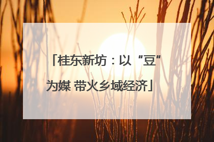 桂东新坊：以“豆”为媒 带火乡域经济