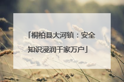 桐柏县大河镇：安全知识浸润千家万户