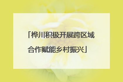 桦川积极开展跨区域合作赋能乡村振兴