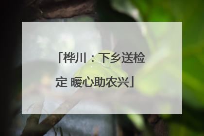 桦川：下乡送检定 暖心助农兴