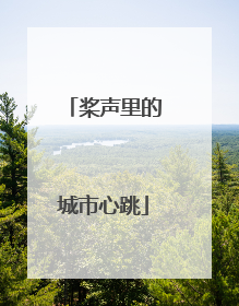 桨声里的城市心跳
