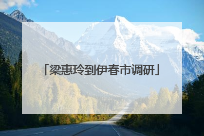 梁惠玲到伊春市调研