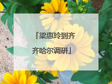 梁惠玲到齐齐哈尔调研