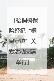 梧桐树保险经纪“桐星守护”关爱活动圆满举行