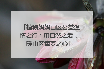 植物妈妈山区公益温情之行：用自然之爱，暖山区童梦之心
