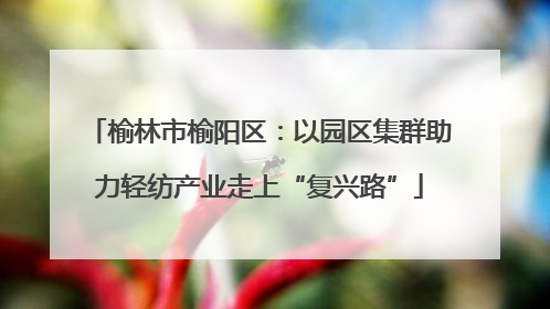 榆林市榆阳区：以园区集群助力轻纺产业走上“复兴路”