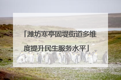 潍坊寒亭固堤街道多维度提升民生服务水平