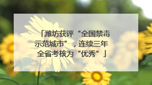 潍坊获评“全国禁毒示范城市”，连续三年全省考核为“优秀”