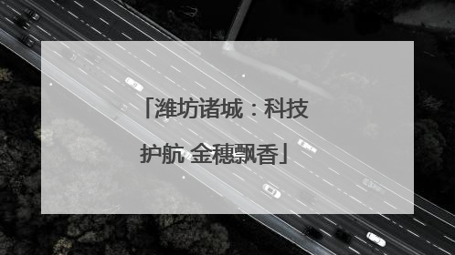 潍坊诸城：科技护航 金穗飘香