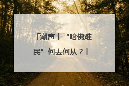 潮声丨“哈佛难民”何去何从？