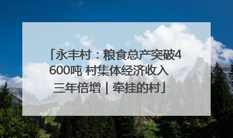 永丰村：粮食总产突破4600吨 村集体经济收入三年倍增｜牵挂的村