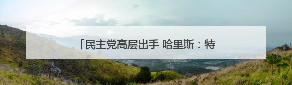 民主党高层出手 哈里斯：特朗普政府刻意在加州挑起混乱