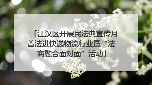 江汉区开展民法典宣传月普法进快递物流行业暨“法商融合面对面”活动