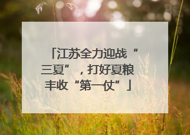 江苏全力迎战“三夏”，打好夏粮丰收“第一仗”