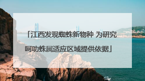 江西发现蜘蛛新物种 为研究呵叻蛛属适应区域提供依据