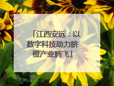 江西安远：以数字科技助力脐橙产业腾飞