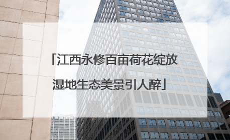 江西永修百亩荷花绽放 湿地生态美景引人醉