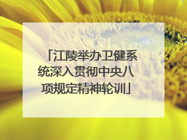 江陵举办卫健系统深入贯彻中央八项规定精神轮训