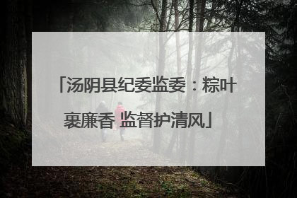 汤阴县纪委监委：粽叶裹廉香 监督护清风