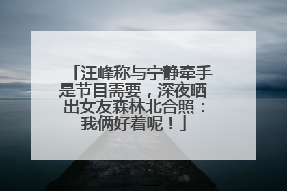 汪峰称与宁静牵手是节目需要，深夜晒出女友森林北合照：我俩好着呢！