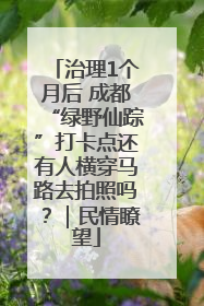 治理1个月后 成都“绿野仙踪”打卡点还有人横穿马路去拍照吗？｜民情瞭望
