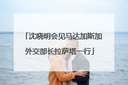 沈晓明会见马达加斯加外交部长拉萨塔一行